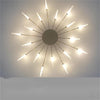 Ceiling Room Lights With Special Iron Decoration
